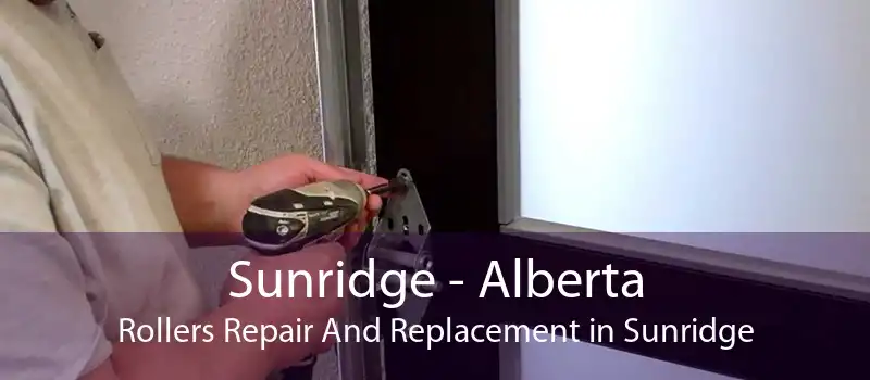 Sunridge - Alberta Rollers Repair And Replacement in Sunridge