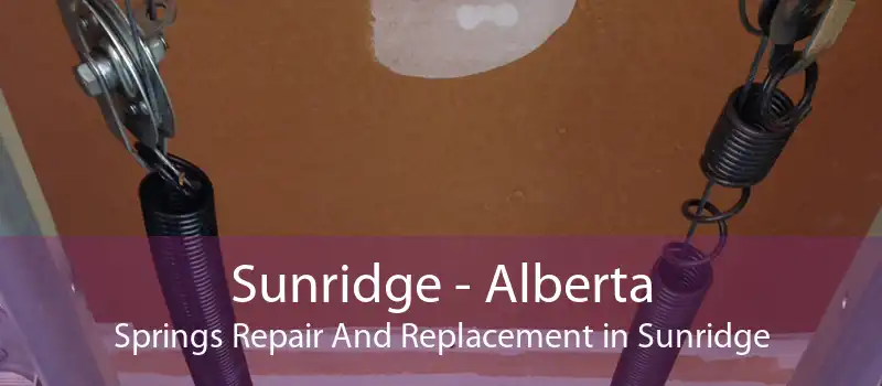 Sunridge - Alberta Springs Repair And Replacement in Sunridge