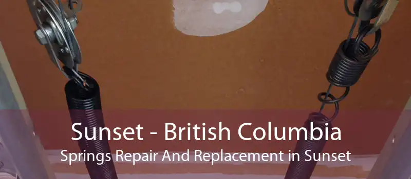 Sunset - British Columbia Springs Repair And Replacement in Sunset