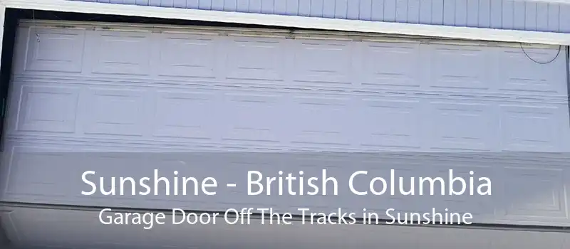 Sunshine - British Columbia Garage Door Off The Tracks in Sunshine
