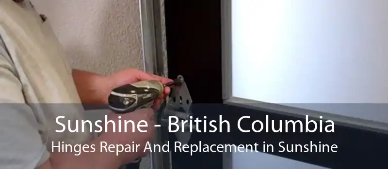 Sunshine - British Columbia Hinges Repair And Replacement in Sunshine