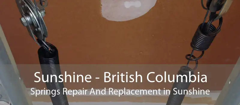 Sunshine - British Columbia Springs Repair And Replacement in Sunshine