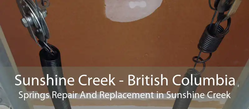 Sunshine Creek - British Columbia Springs Repair And Replacement in Sunshine Creek