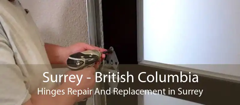 Surrey - British Columbia Hinges Repair And Replacement in Surrey