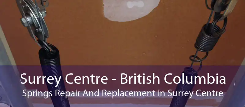 Surrey Centre - British Columbia Springs Repair And Replacement in Surrey Centre