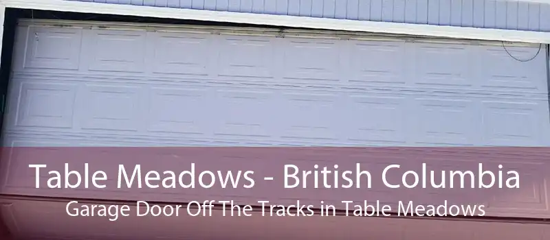 Table Meadows - British Columbia Garage Door Off The Tracks in Table Meadows