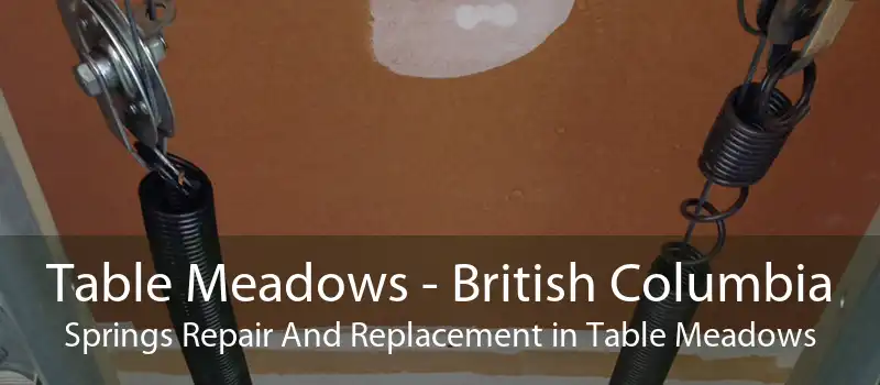 Table Meadows - British Columbia Springs Repair And Replacement in Table Meadows