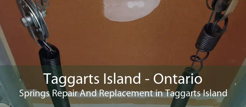 Taggarts Island - Ontario Springs Repair And Replacement in Taggarts Island