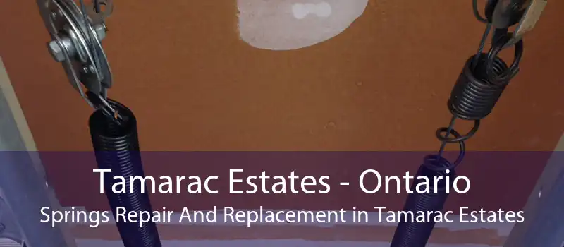 Tamarac Estates - Ontario Springs Repair And Replacement in Tamarac Estates