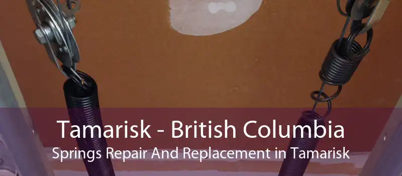 Tamarisk - British Columbia Springs Repair And Replacement in Tamarisk