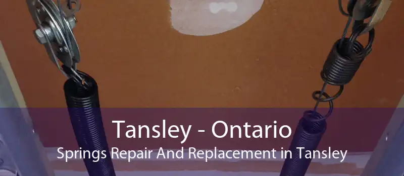 Tansley - Ontario Springs Repair And Replacement in Tansley