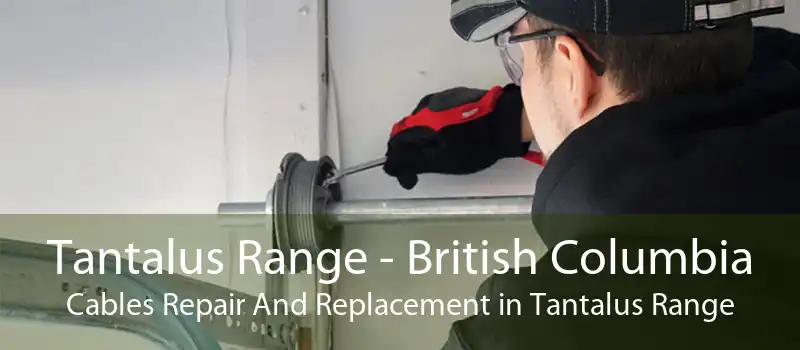 Tantalus Range - British Columbia Cables Repair And Replacement in Tantalus Range