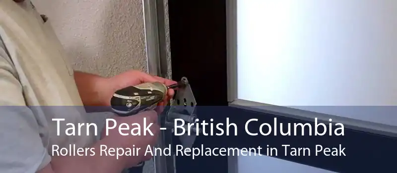 Tarn Peak - British Columbia Rollers Repair And Replacement in Tarn Peak