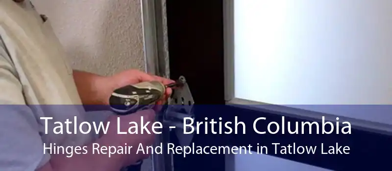Tatlow Lake - British Columbia Hinges Repair And Replacement in Tatlow Lake