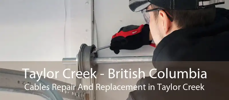 Taylor Creek - British Columbia Cables Repair And Replacement in Taylor Creek