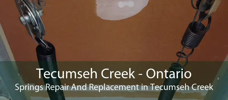 Tecumseh Creek - Ontario Springs Repair And Replacement in Tecumseh Creek