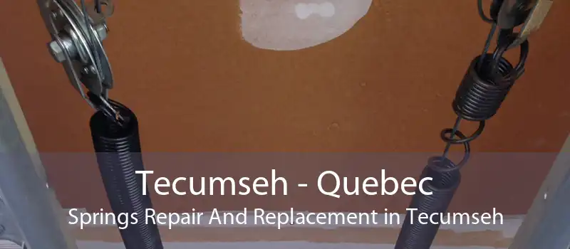 Tecumseh - Quebec Springs Repair And Replacement in Tecumseh