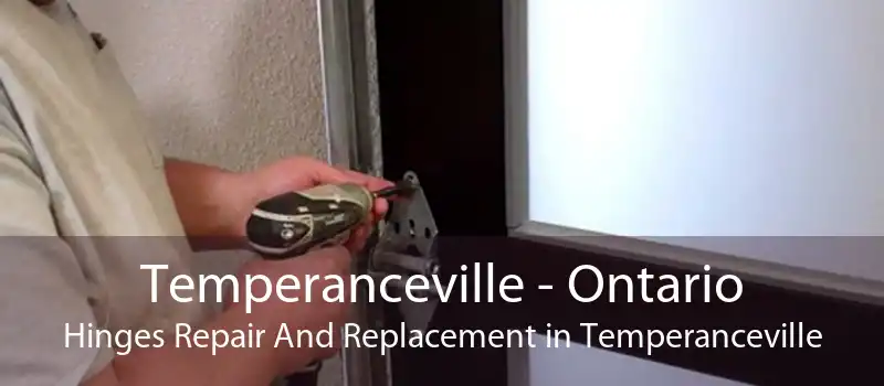 Temperanceville - Ontario Hinges Repair And Replacement in Temperanceville
