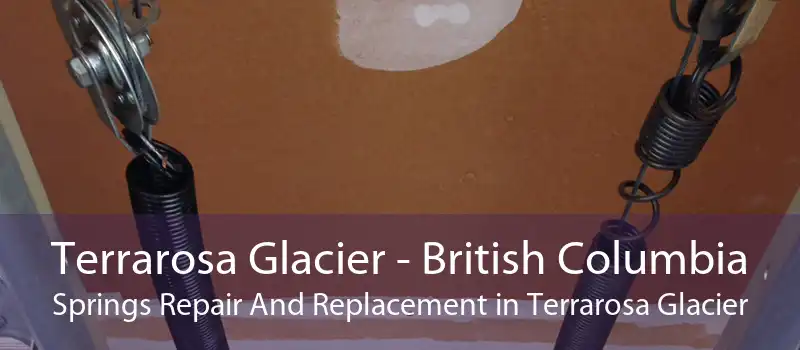 Terrarosa Glacier - British Columbia Springs Repair And Replacement in Terrarosa Glacier