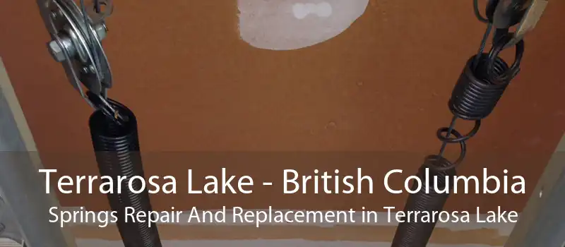 Terrarosa Lake - British Columbia Springs Repair And Replacement in Terrarosa Lake