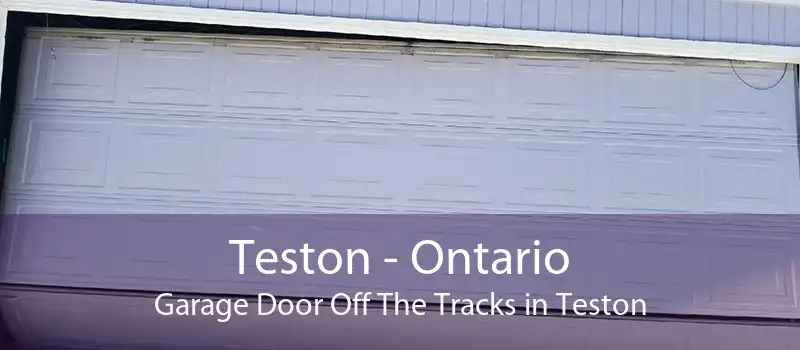 Teston - Ontario Garage Door Off The Tracks in Teston
