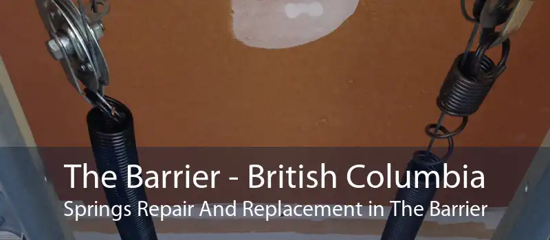 The Barrier - British Columbia Springs Repair And Replacement in The Barrier