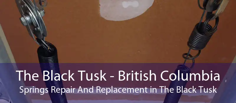 The Black Tusk - British Columbia Springs Repair And Replacement in The Black Tusk