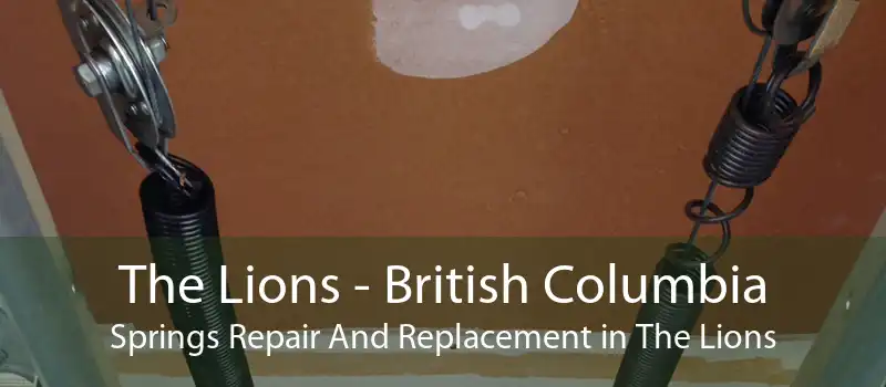 The Lions - British Columbia Springs Repair And Replacement in The Lions
