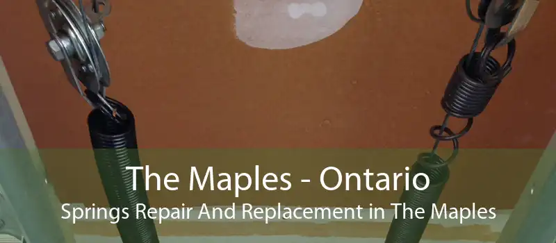 The Maples - Ontario Springs Repair And Replacement in The Maples