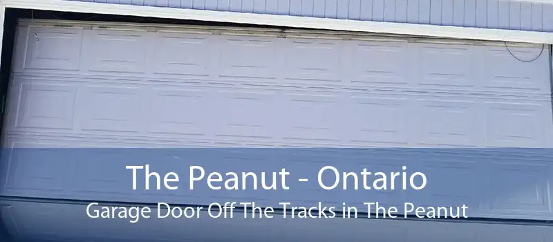 The Peanut - Ontario Garage Door Off The Tracks in The Peanut