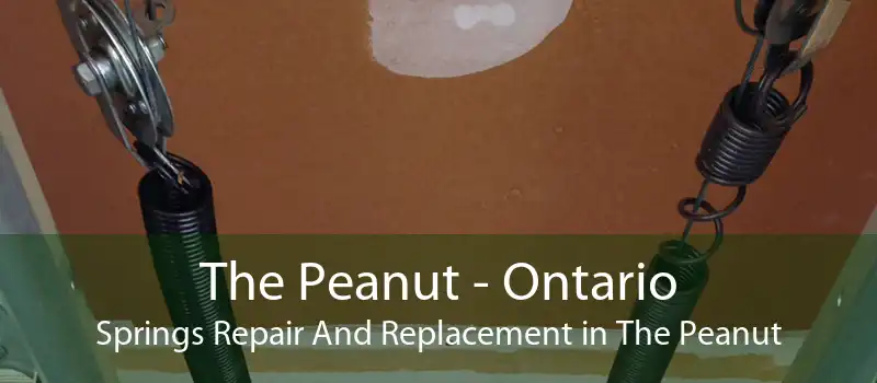 The Peanut - Ontario Springs Repair And Replacement in The Peanut