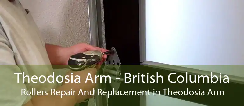 Theodosia Arm - British Columbia Rollers Repair And Replacement in Theodosia Arm