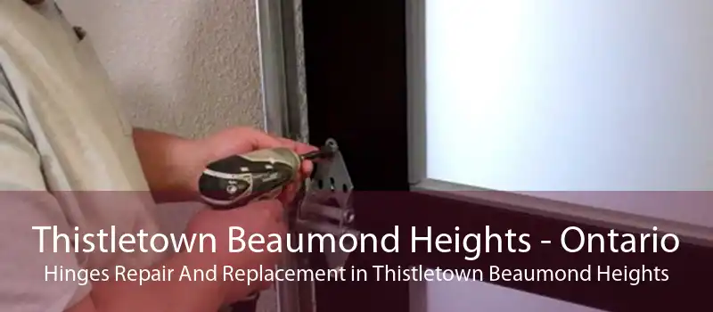 Thistletown Beaumond Heights - Ontario Hinges Repair And Replacement in Thistletown Beaumond Heights