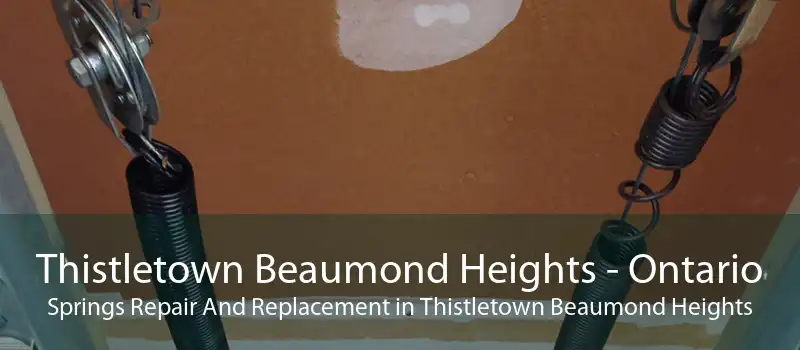 Thistletown Beaumond Heights - Ontario Springs Repair And Replacement in Thistletown Beaumond Heights