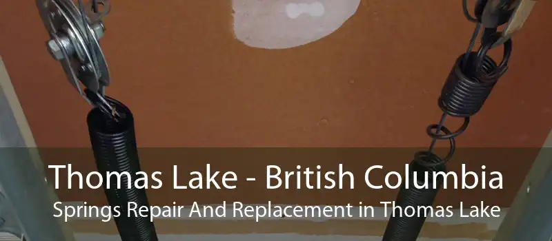 Thomas Lake - British Columbia Springs Repair And Replacement in Thomas Lake
