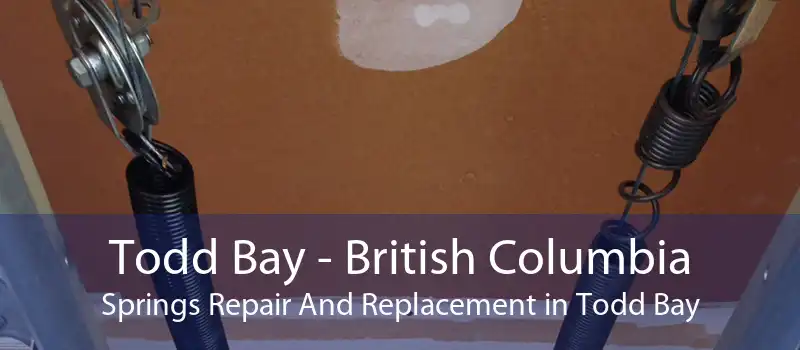 Todd Bay - British Columbia Springs Repair And Replacement in Todd Bay