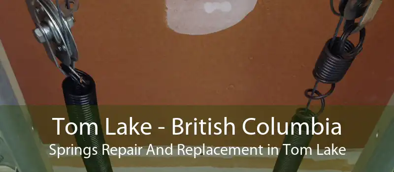 Tom Lake - British Columbia Springs Repair And Replacement in Tom Lake