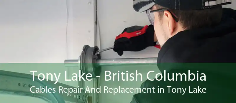 Tony Lake - British Columbia Cables Repair And Replacement in Tony Lake