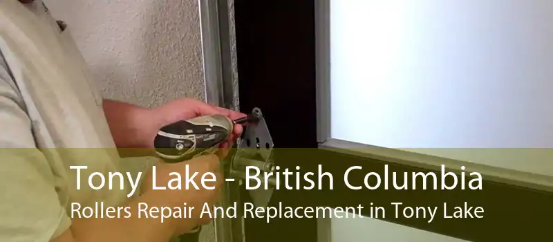 Tony Lake - British Columbia Rollers Repair And Replacement in Tony Lake