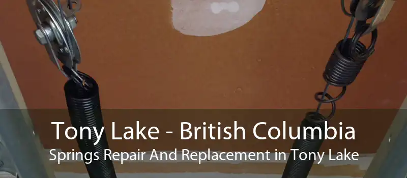 Tony Lake - British Columbia Springs Repair And Replacement in Tony Lake