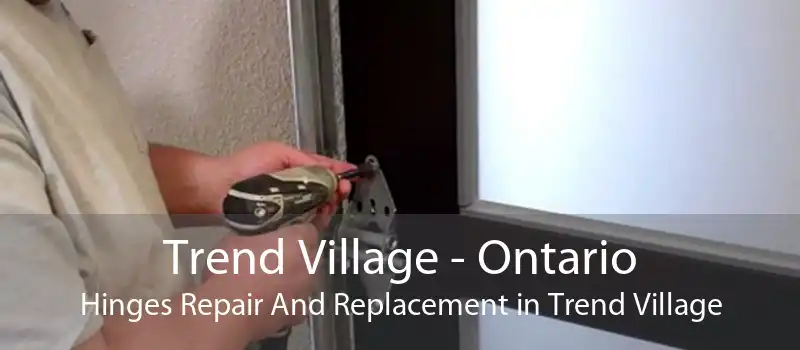 Trend Village - Ontario Hinges Repair And Replacement in Trend Village