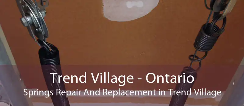 Trend Village - Ontario Springs Repair And Replacement in Trend Village