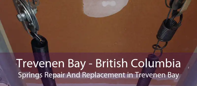 Trevenen Bay - British Columbia Springs Repair And Replacement in Trevenen Bay