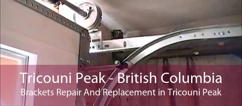 Tricouni Peak - British Columbia Brackets Repair And Replacement in Tricouni Peak