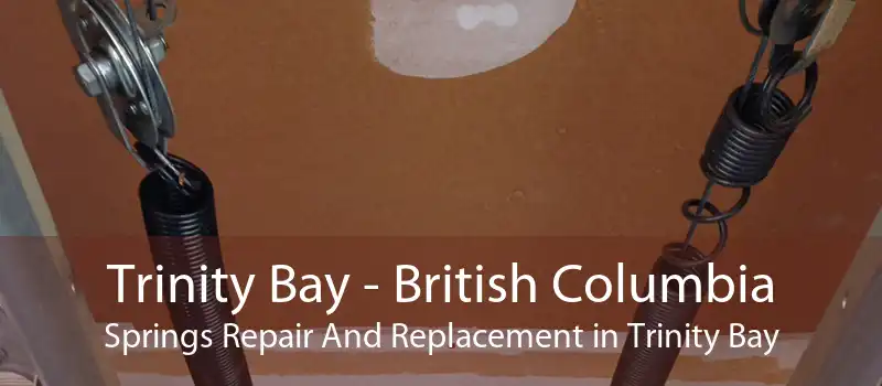 Trinity Bay - British Columbia Springs Repair And Replacement in Trinity Bay