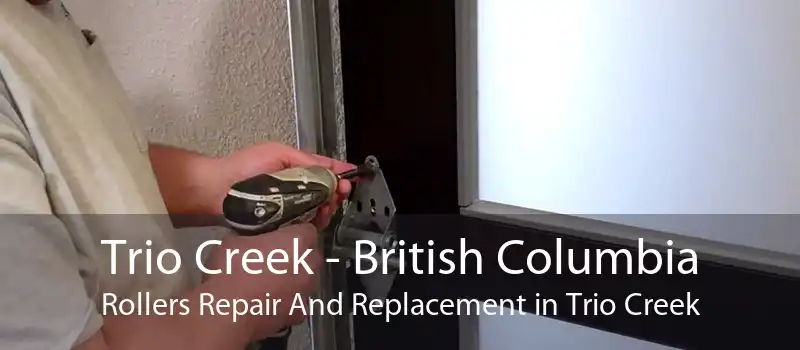 Trio Creek - British Columbia Rollers Repair And Replacement in Trio Creek