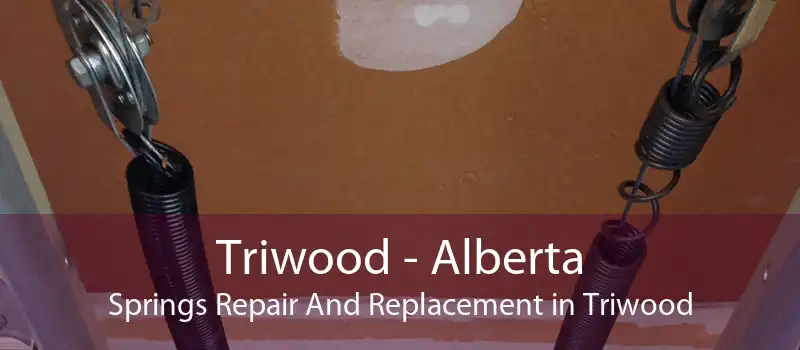 Triwood - Alberta Springs Repair And Replacement in Triwood