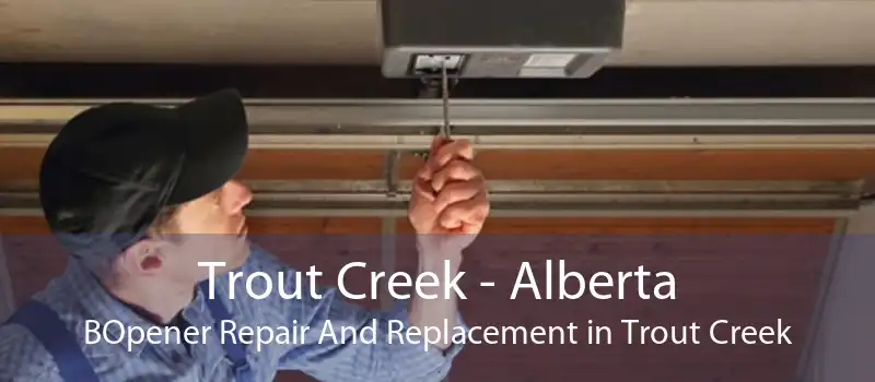 Trout Creek - Alberta BOpener Repair And Replacement in Trout Creek