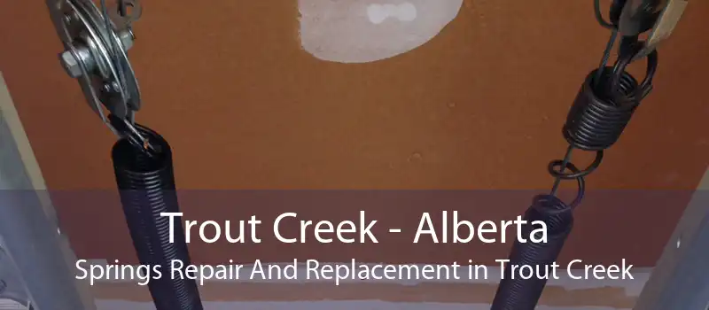 Trout Creek - Alberta Springs Repair And Replacement in Trout Creek