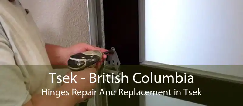 Tsek - British Columbia Hinges Repair And Replacement in Tsek
